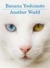 Another world