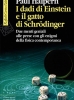 I dadi di Einstein e il gatto di Schrodinger