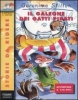 Il galeone dei gatti pirati pirati