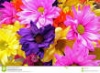 Il mondo dei colori